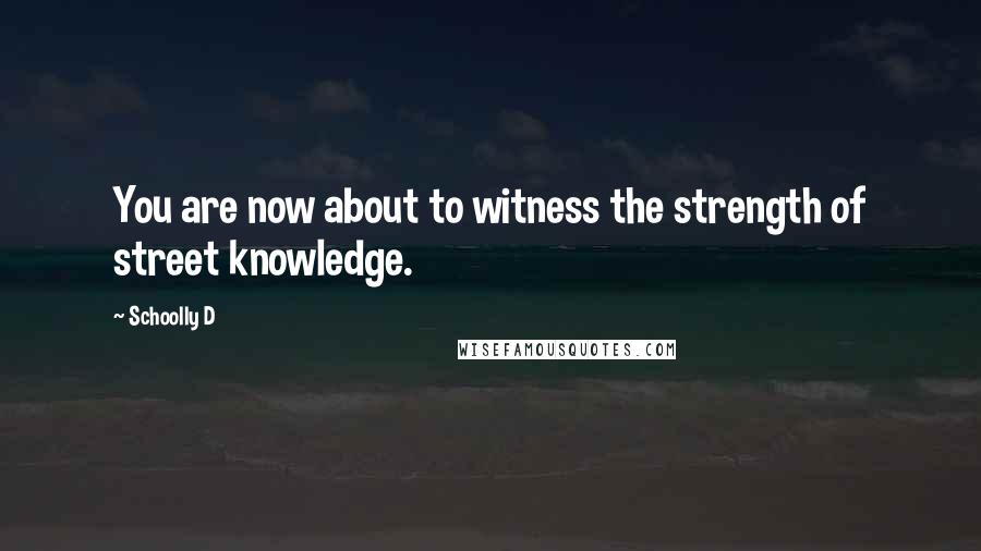 Schoolly D quotes: You are now about to witness the strength of street knowledge.