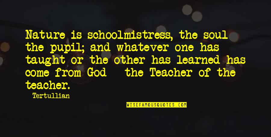 Schoolmistress 2 Quotes By Tertullian: Nature is schoolmistress, the soul the pupil; and