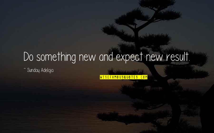 Schoonhoven Family Tree Quotes By Sunday Adelaja: Do something new and expect new result.