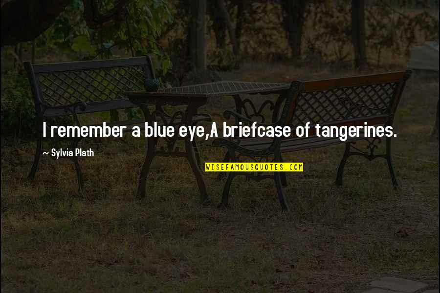 Schoonmaker Harbor Quotes By Sylvia Plath: I remember a blue eye,A briefcase of tangerines.