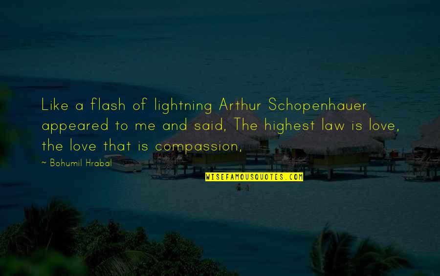 Schopenhauer Love Quotes By Bohumil Hrabal: Like a flash of lightning Arthur Schopenhauer appeared