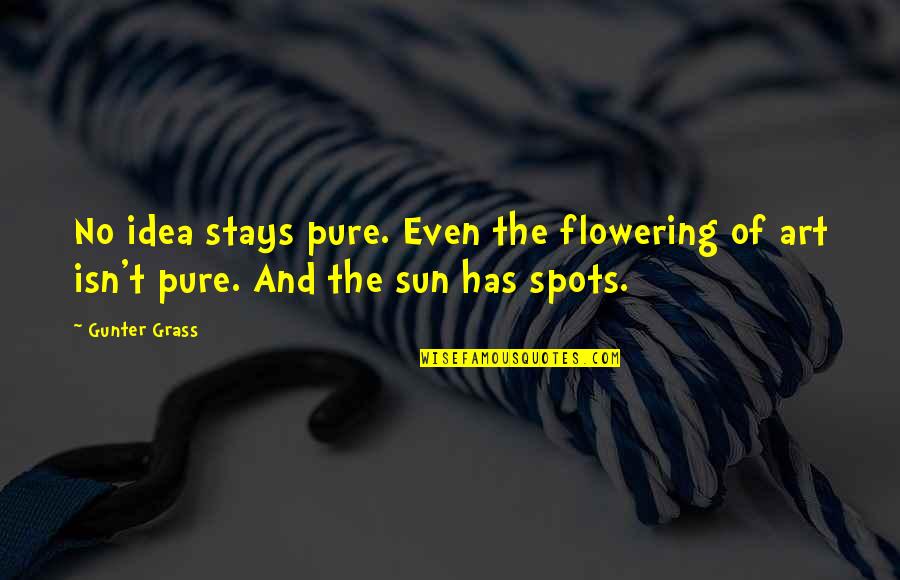 Schopenhauer Nihilism Quotes By Gunter Grass: No idea stays pure. Even the flowering of