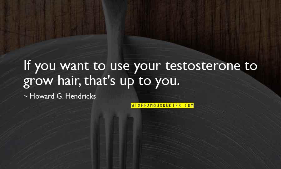 Schork Group Quotes By Howard G. Hendricks: If you want to use your testosterone to Schork Group Quotes By Howard G. Hendricks: If you want to use your testosterone to