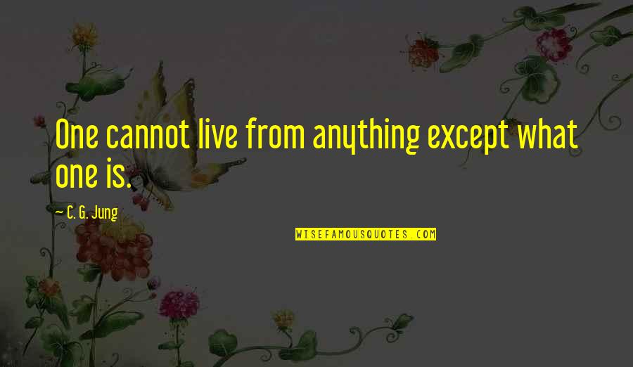 Schourek Quotes By C. G. Jung: One cannot live from anything except what one