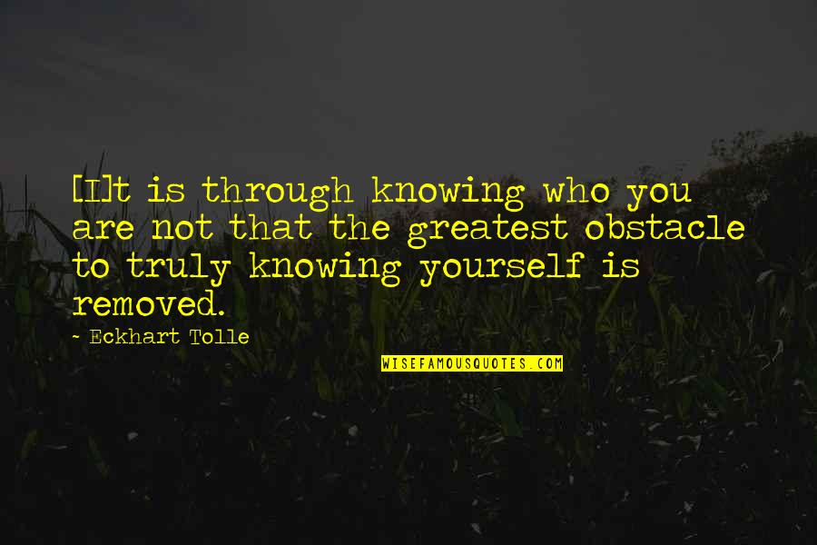 Schrammel Dance Quotes By Eckhart Tolle: [I]t is through knowing who you are not