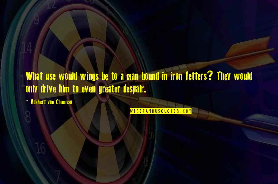 Schrdinger Quotes By Adelbert Von Chamisso: What use would wings be to a man
