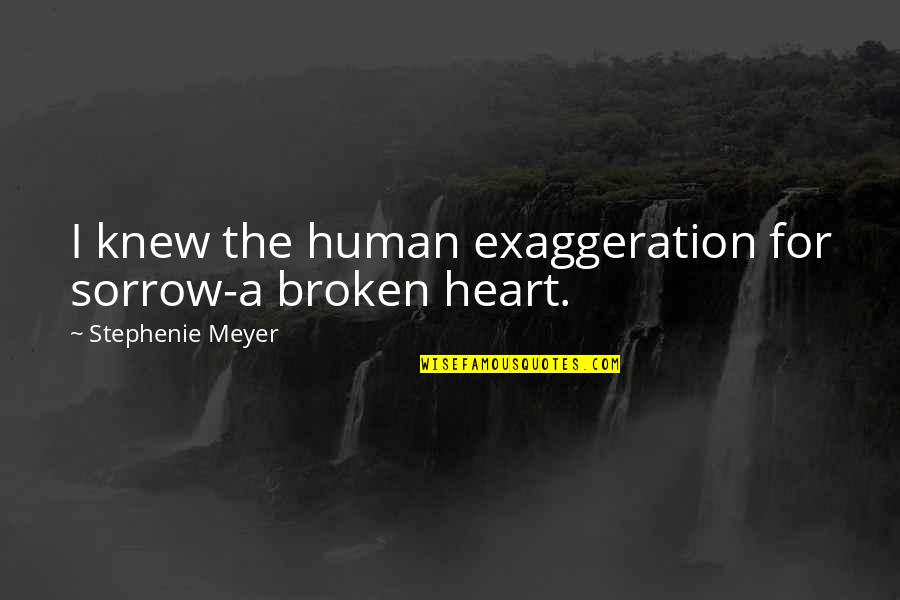 Schrempf Family Crest Quotes By Stephenie Meyer: I knew the human exaggeration for sorrow-a broken Schrempf Family Crest Quotes By Stephenie Meyer: I knew the human exaggeration for sorrow-a broken