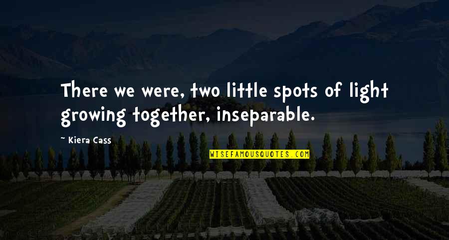 Schricker Family Tree Quotes By Kiera Cass: There we were, two little spots of light