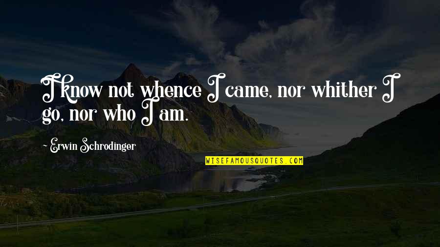 Schrodinger Quotes By Erwin Schrodinger: I know not whence I came, nor whither