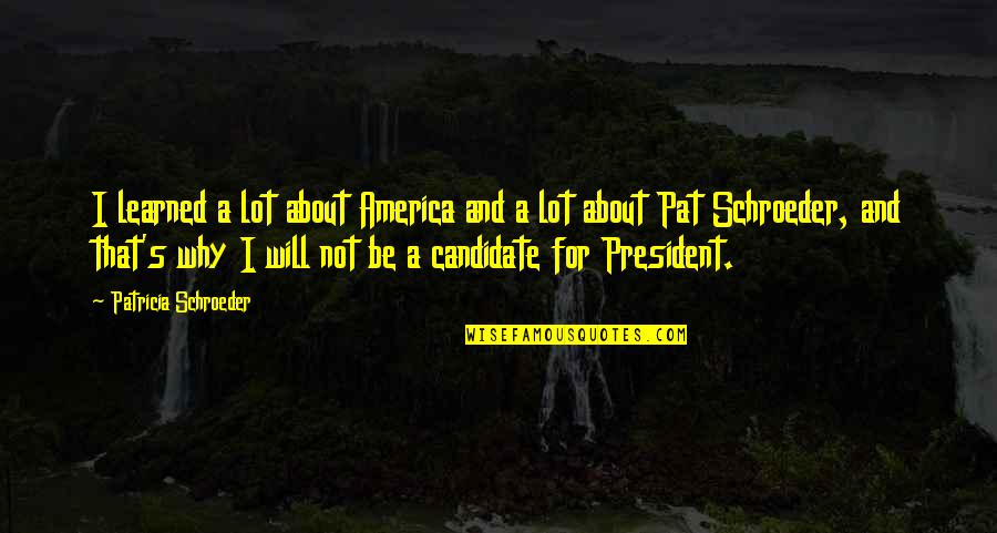 Schroeder Quotes By Patricia Schroeder: I learned a lot about America and a Schroeder Quotes By Patricia Schroeder: I learned a lot about America and a