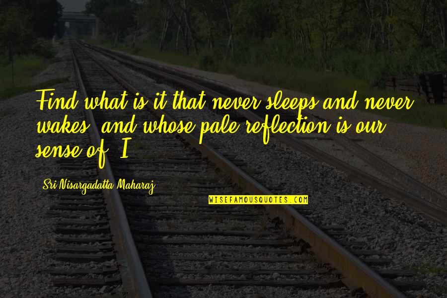 Schroers Quotes By Sri Nisargadatta Maharaj: Find what is it that never sleeps and