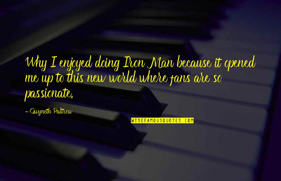 Schuback Violins Quotes By Gwyneth Paltrow: Why I enjoyed doing Iron Man because it
