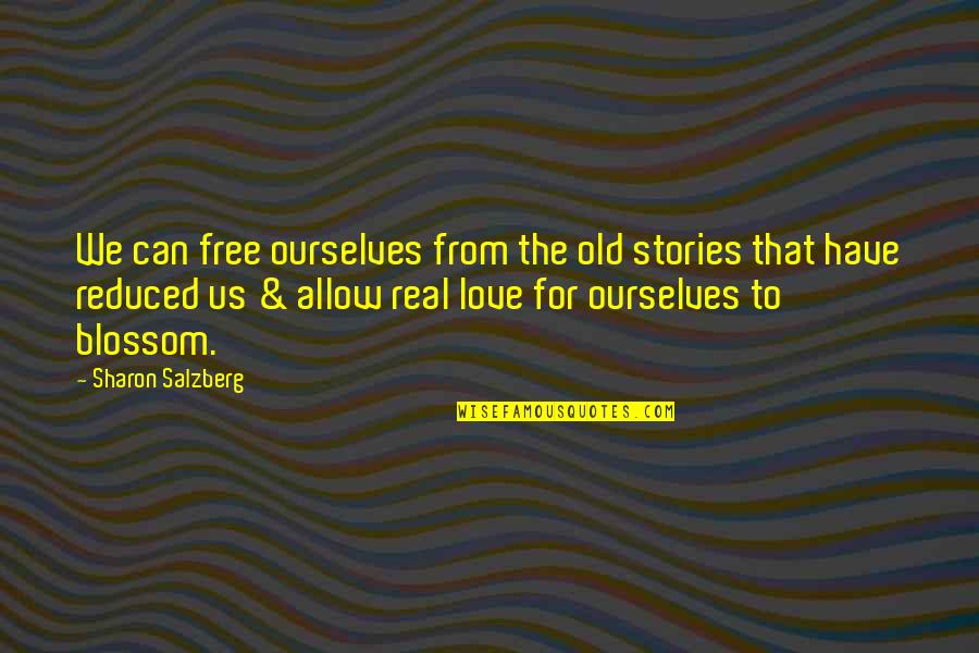 Schuldig Documentaire Quotes By Sharon Salzberg: We can free ourselves from the old stories