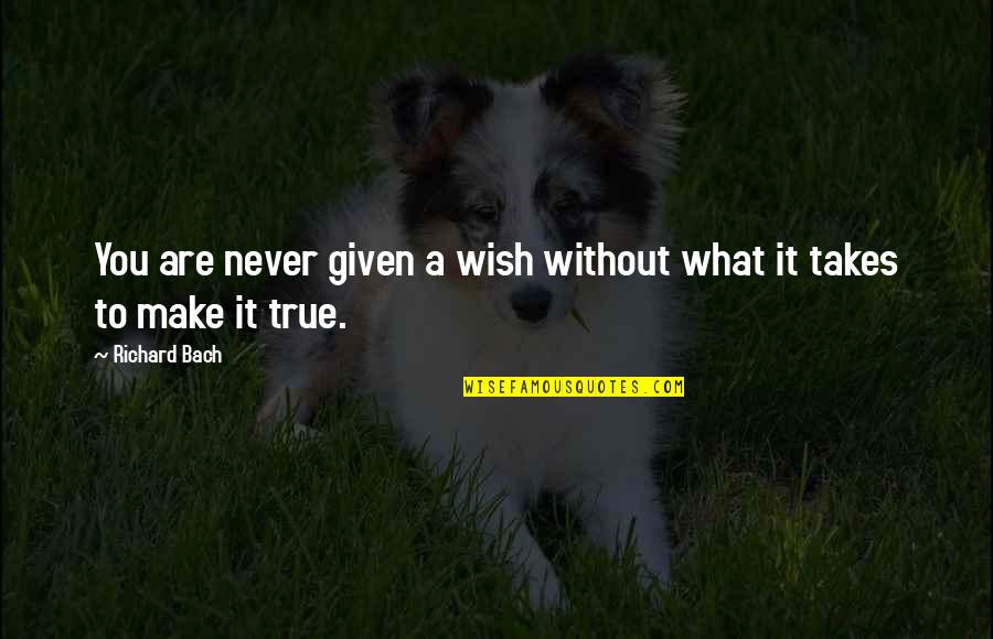 Schulers Books Quotes By Richard Bach: You are never given a wish without what