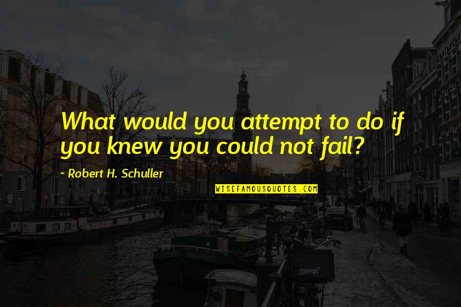 Schuller Quotes By Robert H. Schuller: What would you attempt to do if you