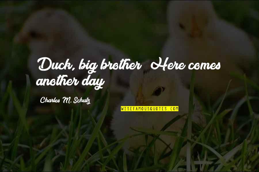 Schulz Quotes By Charles M. Schulz: Duck, big brother! Here comes another day!