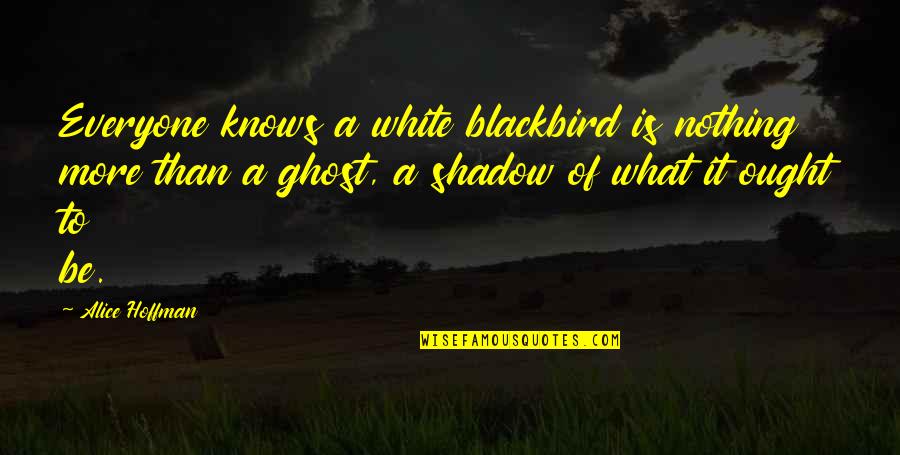 Schumacher Vanda Quotes By Alice Hoffman: Everyone knows a white blackbird is nothing more
