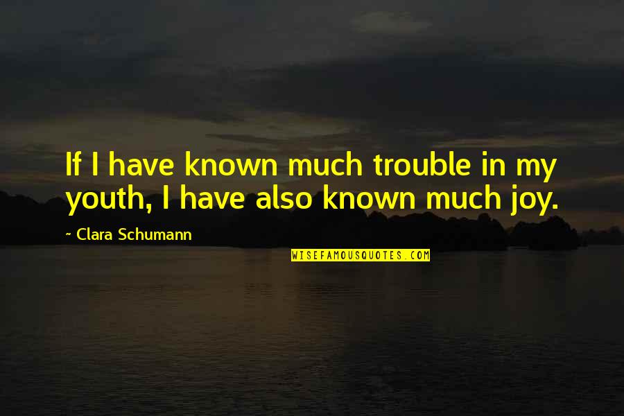 Schumann's Quotes By Clara Schumann: If I have known much trouble in my