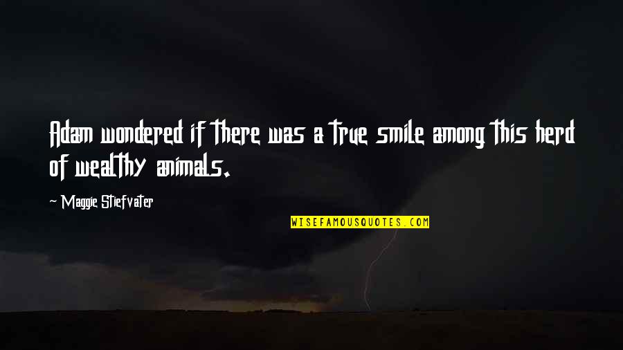 Schurman Machine Quotes By Maggie Stiefvater: Adam wondered if there was a true smile Schurman Machine Quotes By Maggie Stiefvater: Adam wondered if there was a true smile