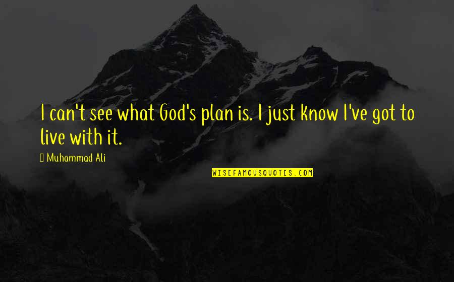 Schuster Quotes By Muhammad Ali: I can't see what God's plan is. I