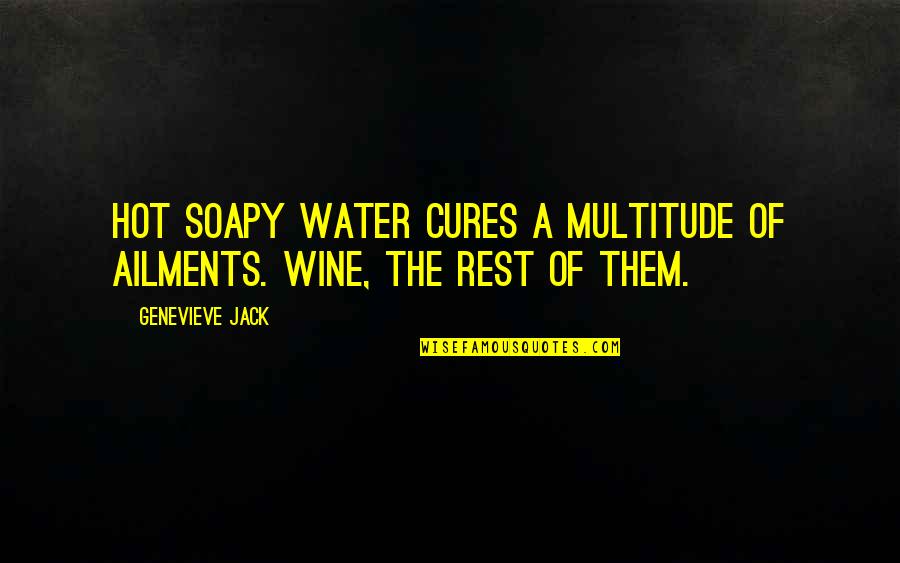 Schutt F7 Quotes By Genevieve Jack: Hot soapy water cures a multitude of ailments.