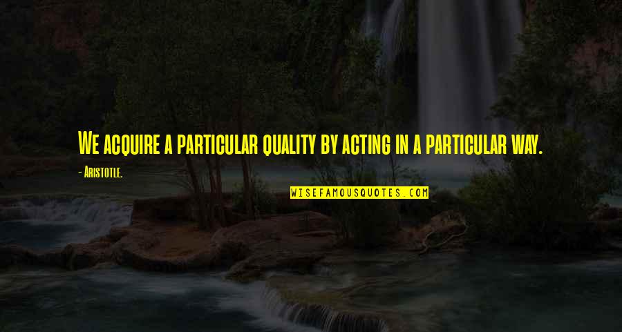 Schwacke Surveying Quotes By Aristotle.: We acquire a particular quality by acting in