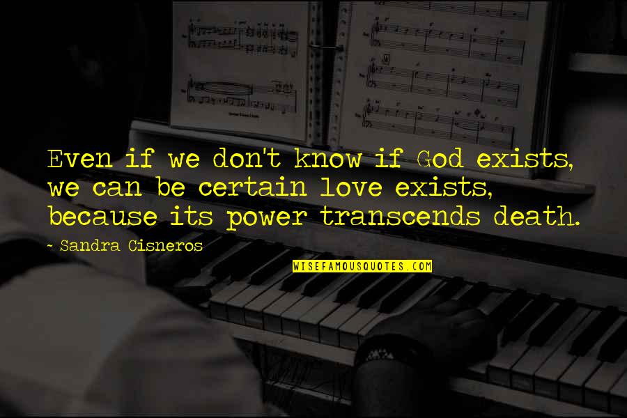 Schwalenberggermany Quotes By Sandra Cisneros: Even if we don't know if God exists,