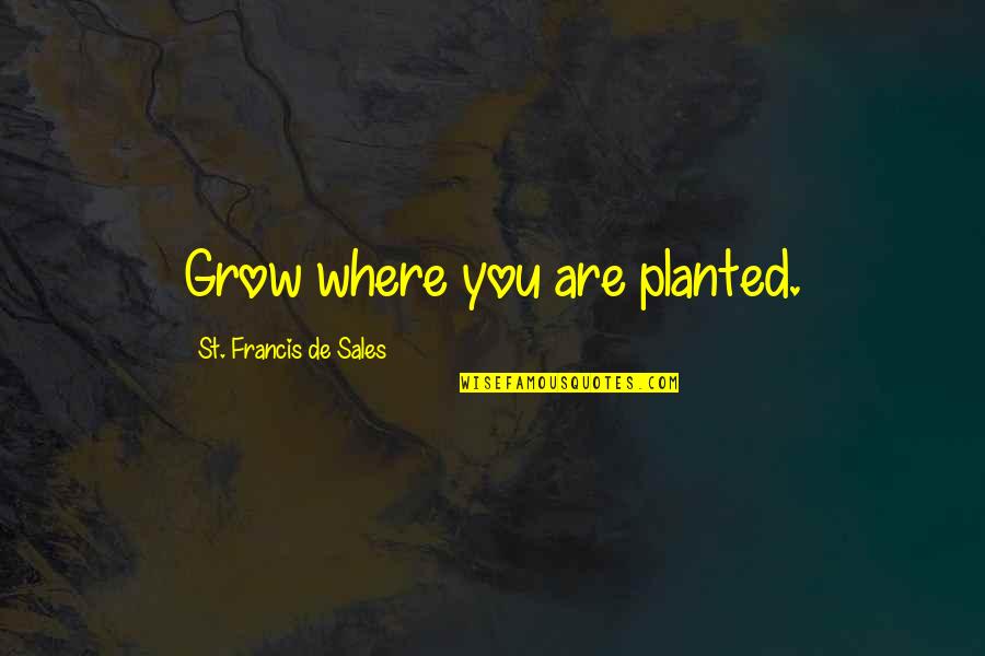 Schwalm Rv Quotes By St. Francis De Sales: Grow where you are planted.
