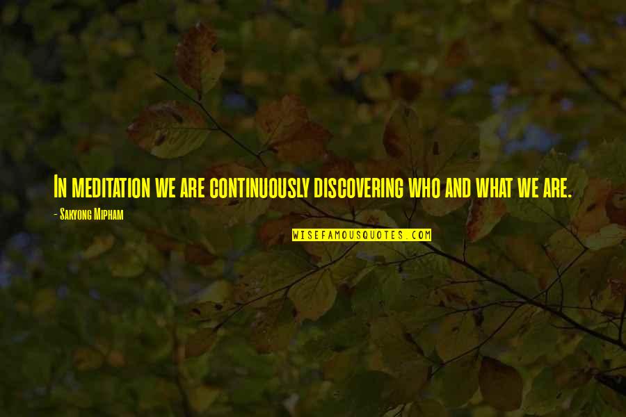 Schwanitz Hayden Quotes By Sakyong Mipham: In meditation we are continuously discovering who and