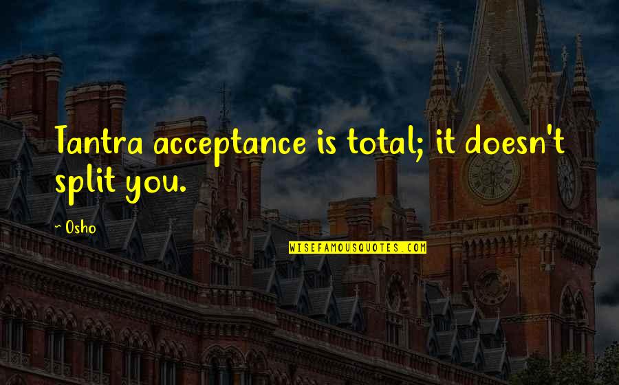 Schwappach Denver Quotes By Osho: Tantra acceptance is total; it doesn't split you.