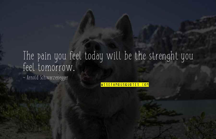 Schwarzenegger Quotes By Arnold Schwarzenegger: The pain you feel today will be the Schwarzenegger Quotes By Arnold Schwarzenegger: The pain you feel today will be the