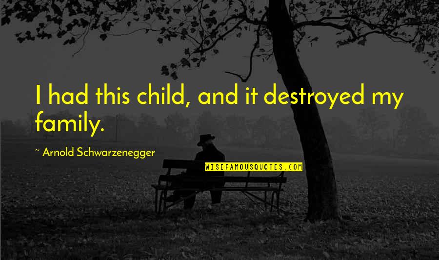 Schwarzenegger Quotes By Arnold Schwarzenegger: I had this child, and it destroyed my Schwarzenegger Quotes By Arnold Schwarzenegger: I had this child, and it destroyed my