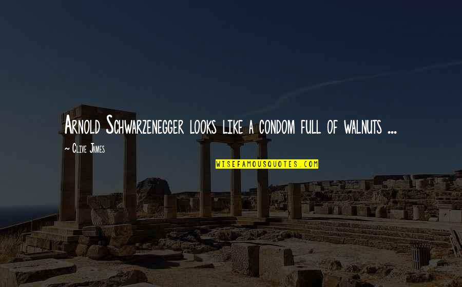Schwarzenegger Quotes By Clive James: Arnold Schwarzenegger looks like a condom full of