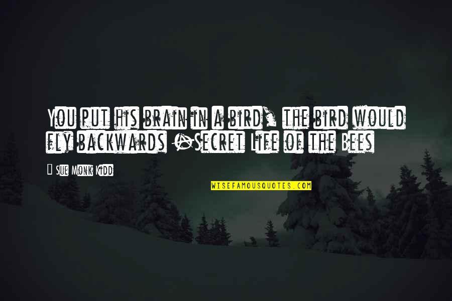 Schween Benninger Quotes By Sue Monk Kidd: You put his brain in a bird, the