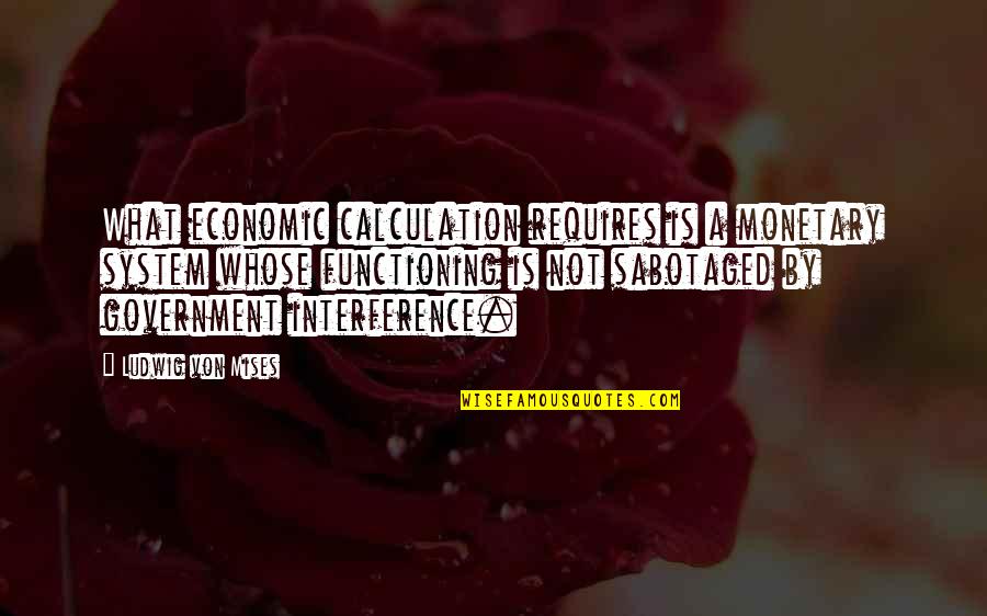 Schweigart Studio Quotes By Ludwig Von Mises: What economic calculation requires is a monetary system