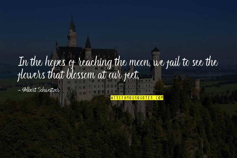 Schweitzer Albert Quotes By Albert Schweitzer: In the hopes of reaching the moon, we