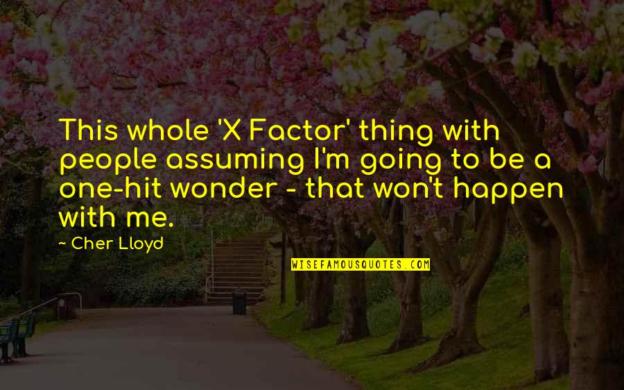 Schwesinger Greenwich Quotes By Cher Lloyd: This whole 'X Factor' thing with people assuming