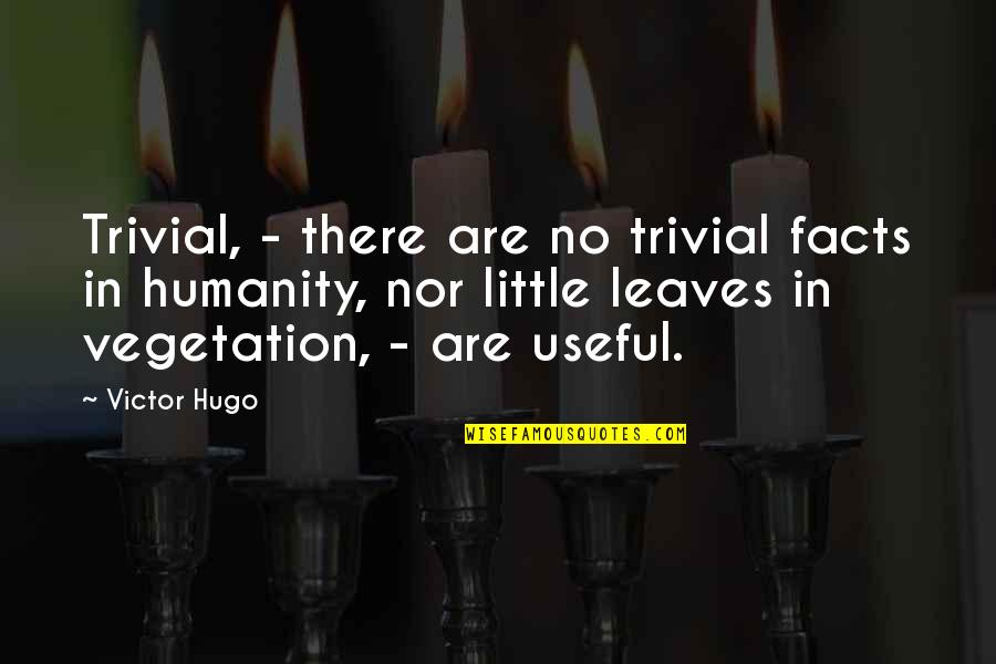 Schwickerts Quotes By Victor Hugo: Trivial, - there are no trivial facts in Schwickerts Quotes By Victor Hugo: Trivial, - there are no trivial facts in