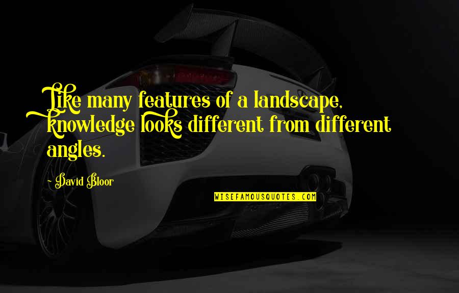 Schwister Ford Quotes By David Bloor: Like many features of a landscape, knowledge looks