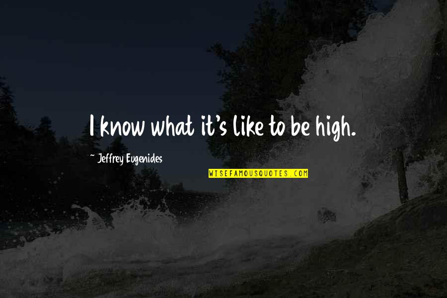 Sci Fi Tv Quotes By Jeffrey Eugenides: I know what it's like to be high. Sci Fi Tv Quotes By Jeffrey Eugenides: I know what it's like to be high.