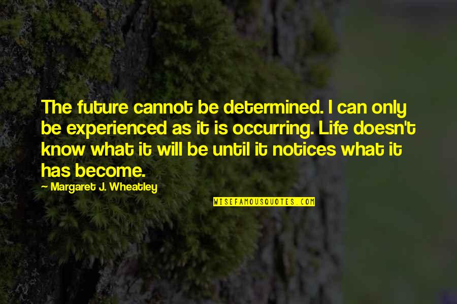 Scialabba Fred Quotes By Margaret J. Wheatley: The future cannot be determined. I can only Scialabba Fred Quotes By Margaret J. Wheatley: The future cannot be determined. I can only