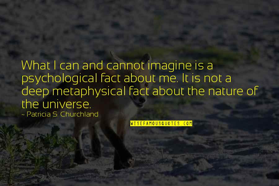 Science And Philosophy Quotes By Patricia S. Churchland: What I can and cannot imagine is a