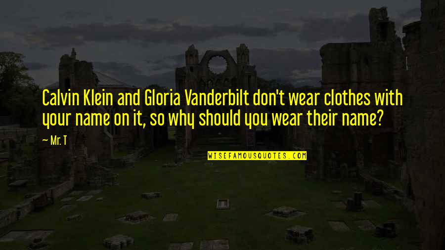 Science And Technology For Sustainable Development Quotes By Mr. T: Calvin Klein and Gloria Vanderbilt don't wear clothes