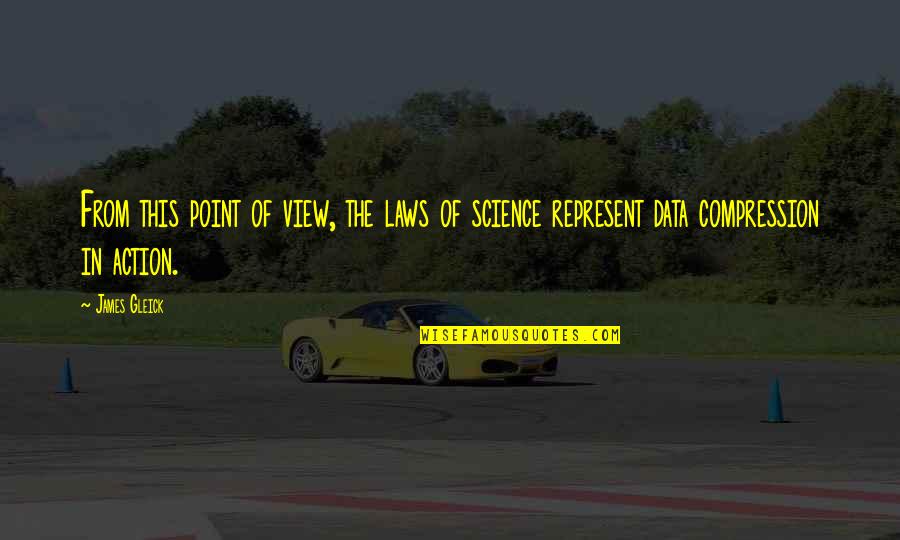 Science Data Quotes By James Gleick: From this point of view, the laws of
