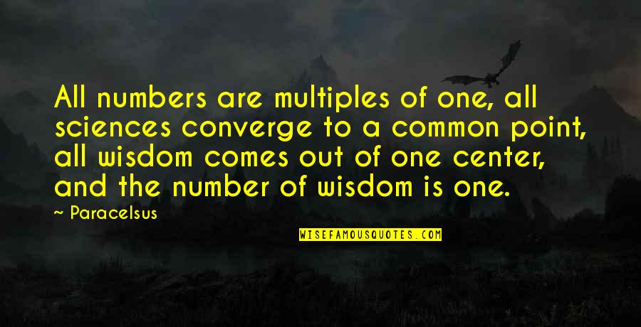 Sciences Quotes By Paracelsus: All numbers are multiples of one, all sciences