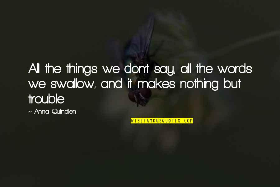 Scientific Determinism Quotes By Anna Quindlen: All the things we don't say, all the