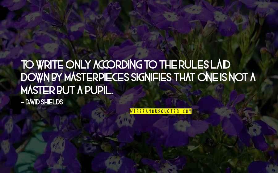 Scigliano Panoramico Quotes By David Shields: To write only according to the rules laid