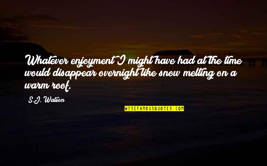 Scilurus Quotes By S.J. Watson: Whatever enjoyment I might have had at the