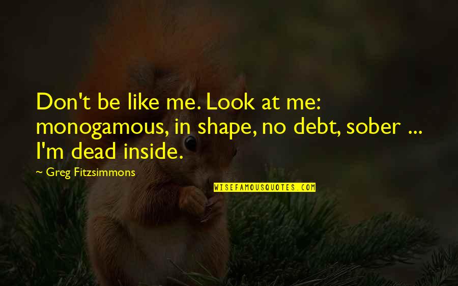 Scipione Berg Quotes By Greg Fitzsimmons: Don't be like me. Look at me: monogamous, Scipione Berg Quotes By Greg Fitzsimmons: Don't be like me. Look at me: monogamous,