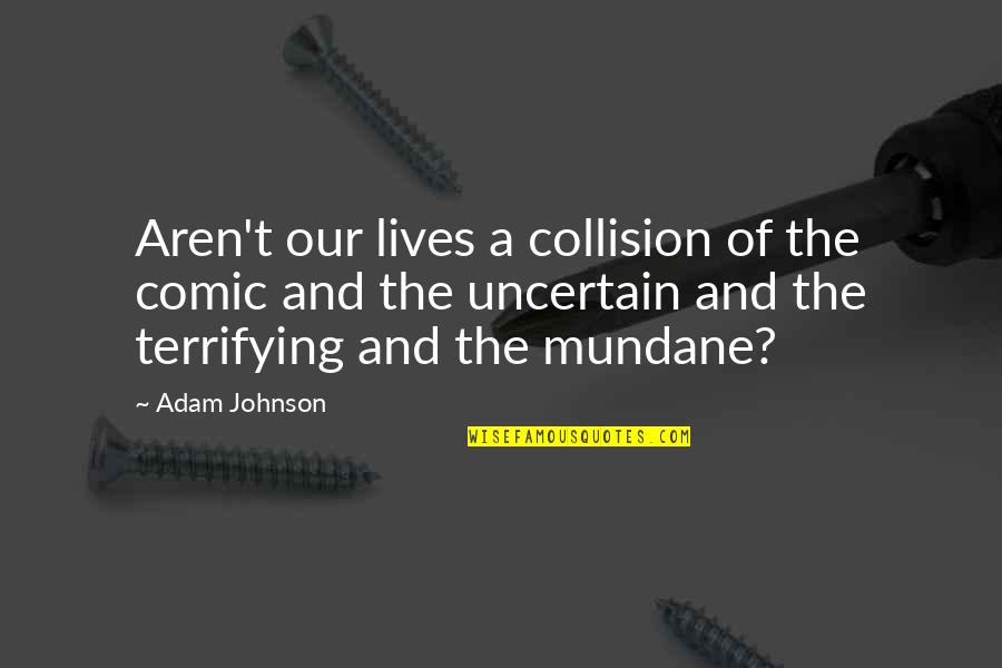 Scission Paint Quotes By Adam Johnson: Aren't our lives a collision of the comic